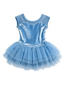 The Fairy Dust Willa Tutu